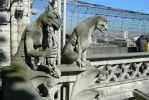 PICTURES/Paris - The Towers of Notre Dame/t_Gargoyle Carnivore3.JPG